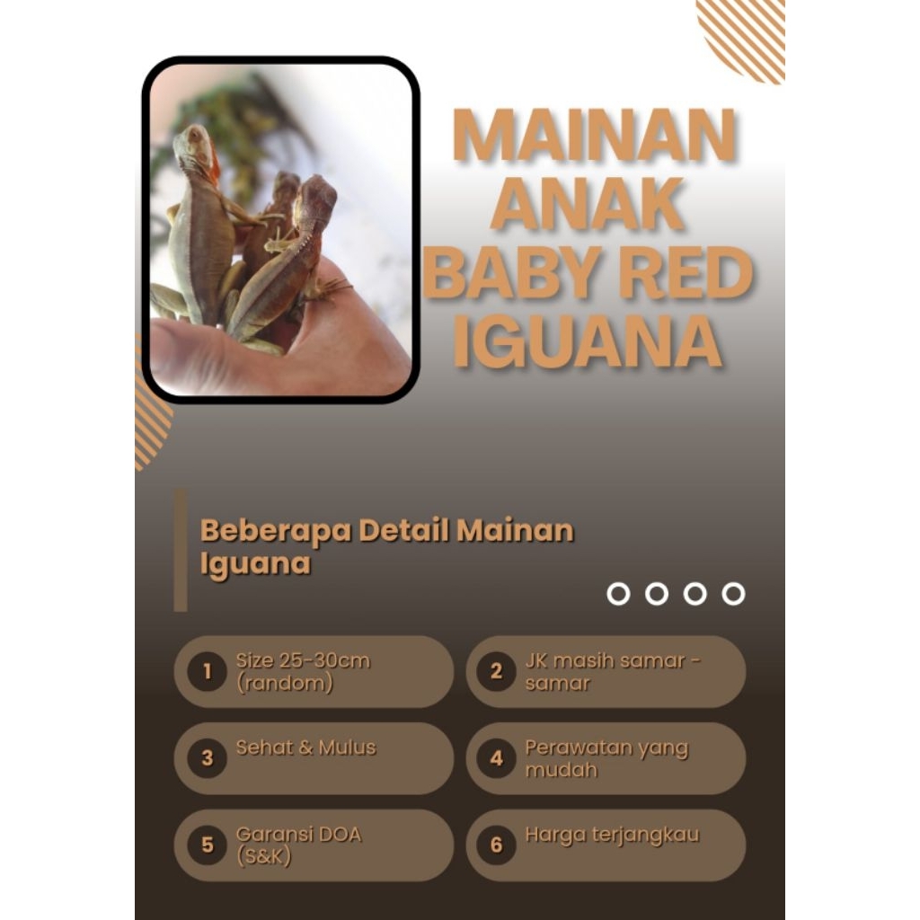 Mainan baby iguana red