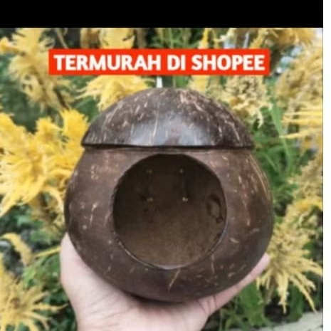 GLODOK BATOK KELAPA RUMAH BURUNG BAJING
