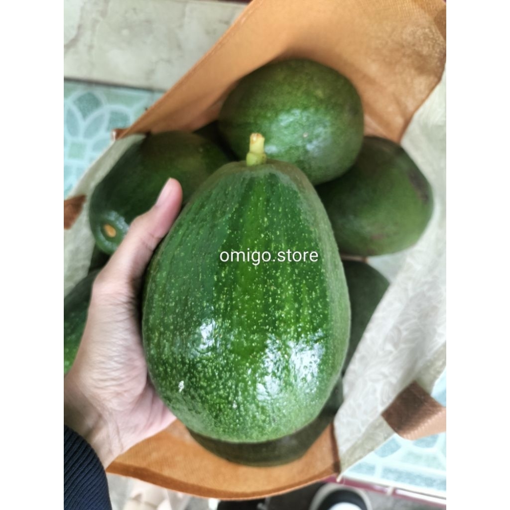 Alpukat Markus Jumbo 1-2 kg | Isi 1-2 Buah | Packing Aman