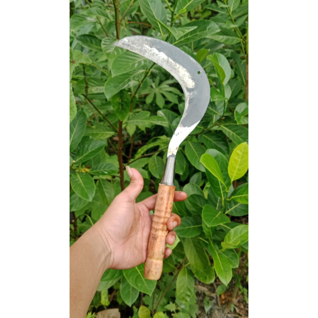 Sabit Potong Rumput Kecil