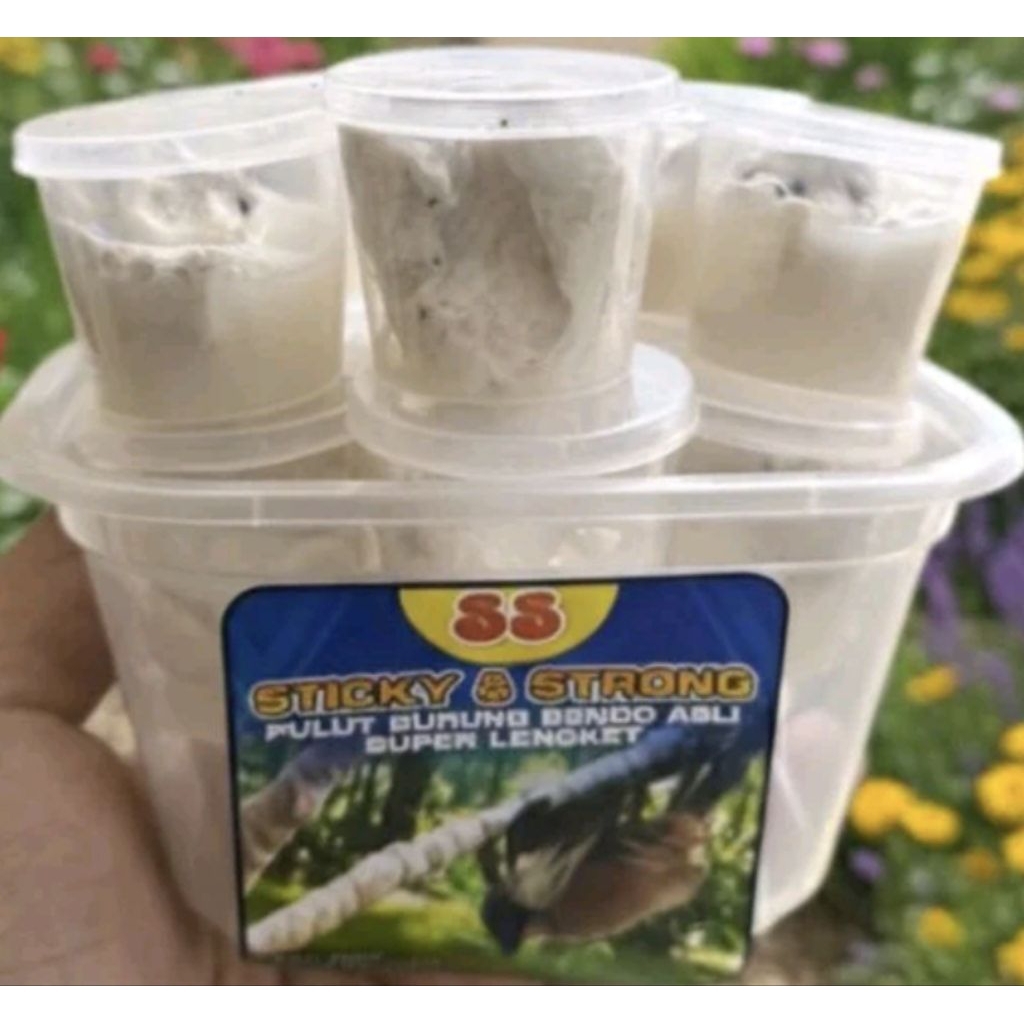 Pulut burung untuk pikat