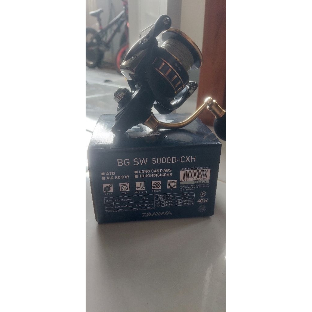 reel Daiwa BG SW 5000