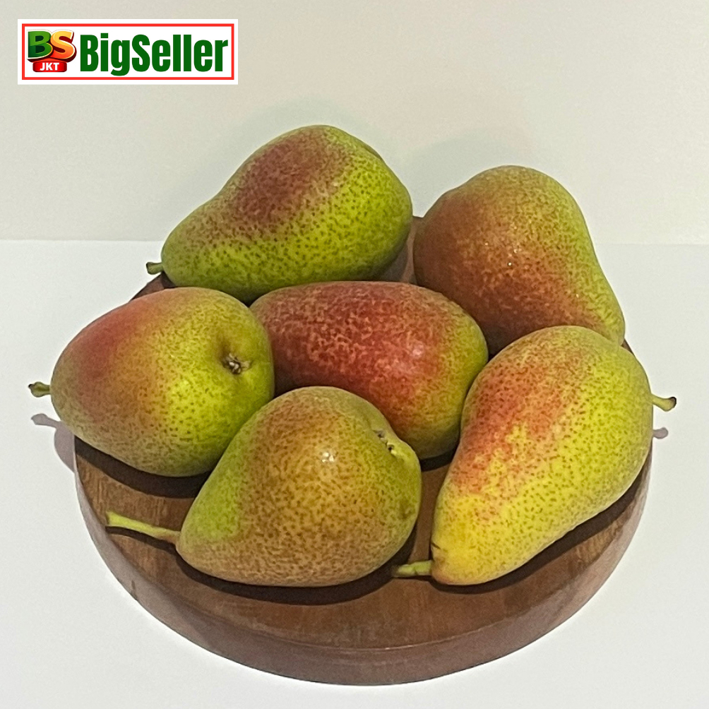BUAH PEAR FORELLE SEGAR SUPER QUALITY