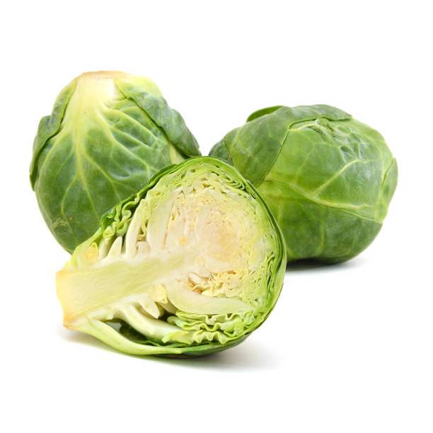 TABUR BENIH KUBIS MINI