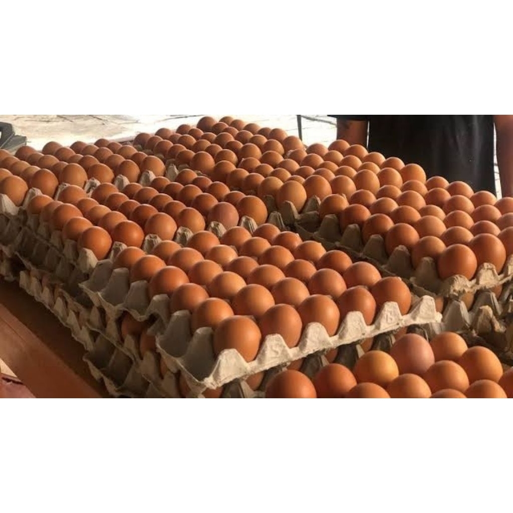 1 Peti / Trai (15kg) Telur Ayam Coklat Super