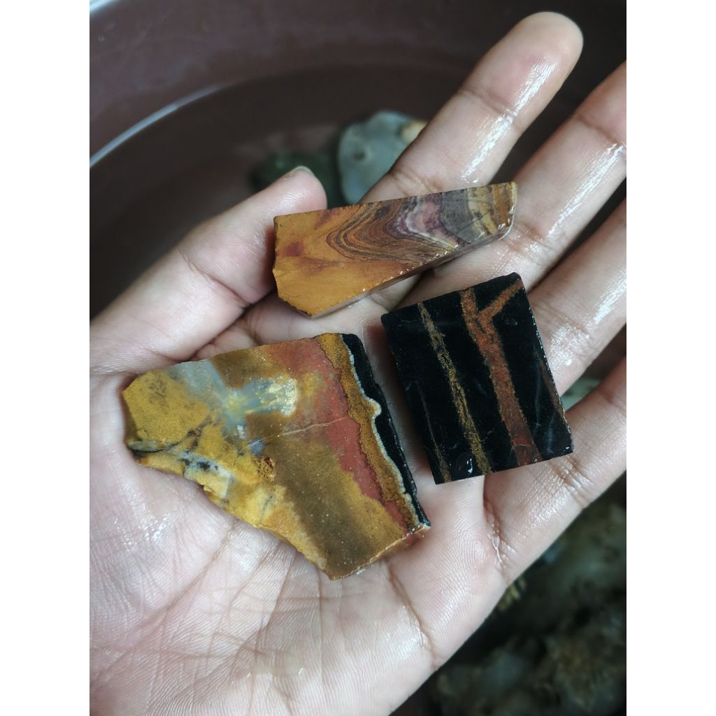 Natural Bahan Batu Posil Kayu Kelor