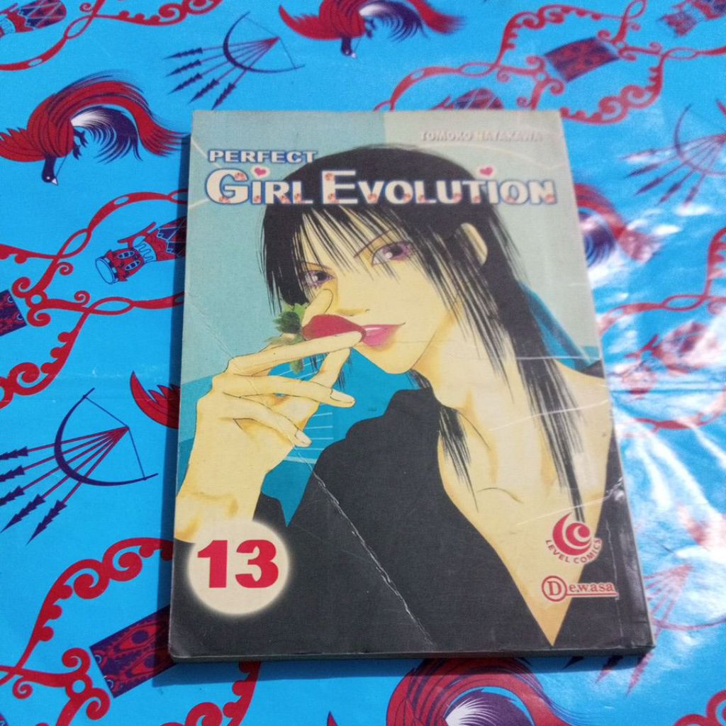 Komik Perfect Girl Evolution volume 13