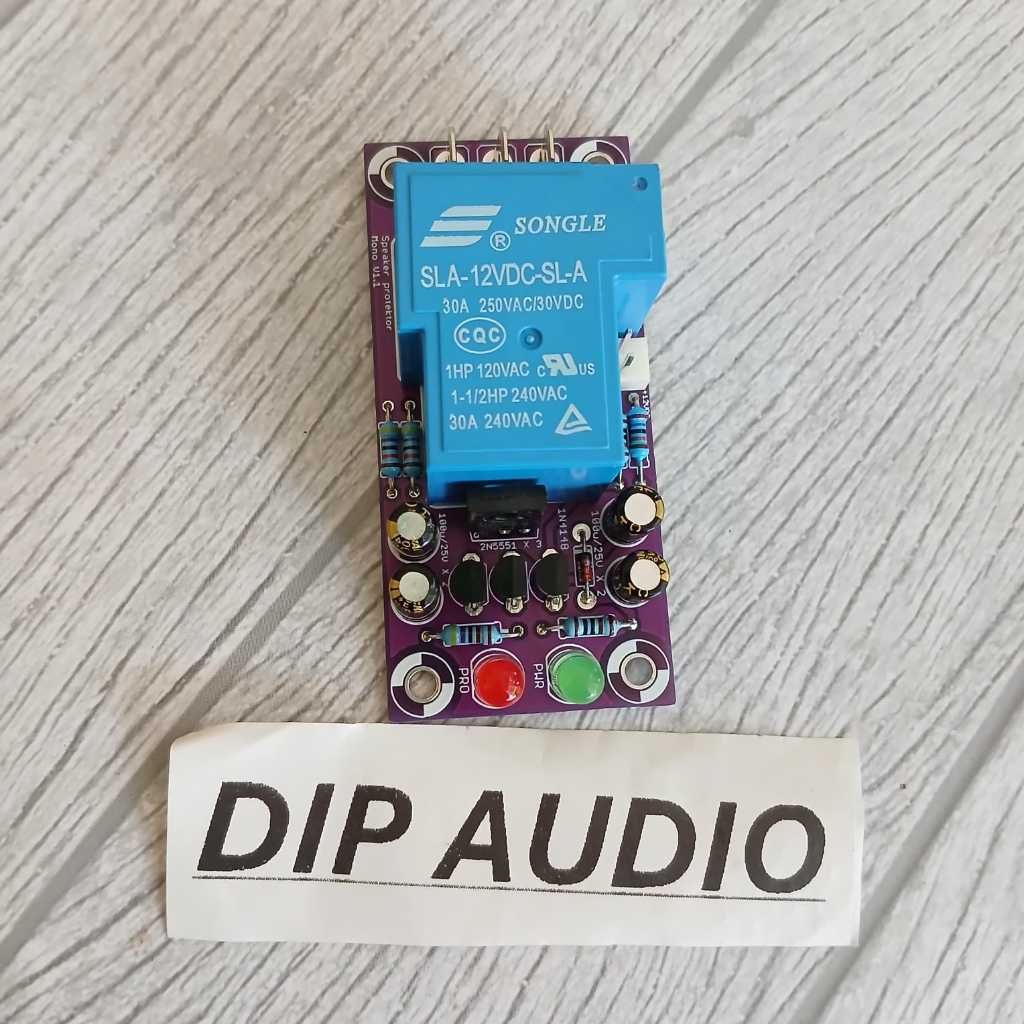 Kit protector speaker mono