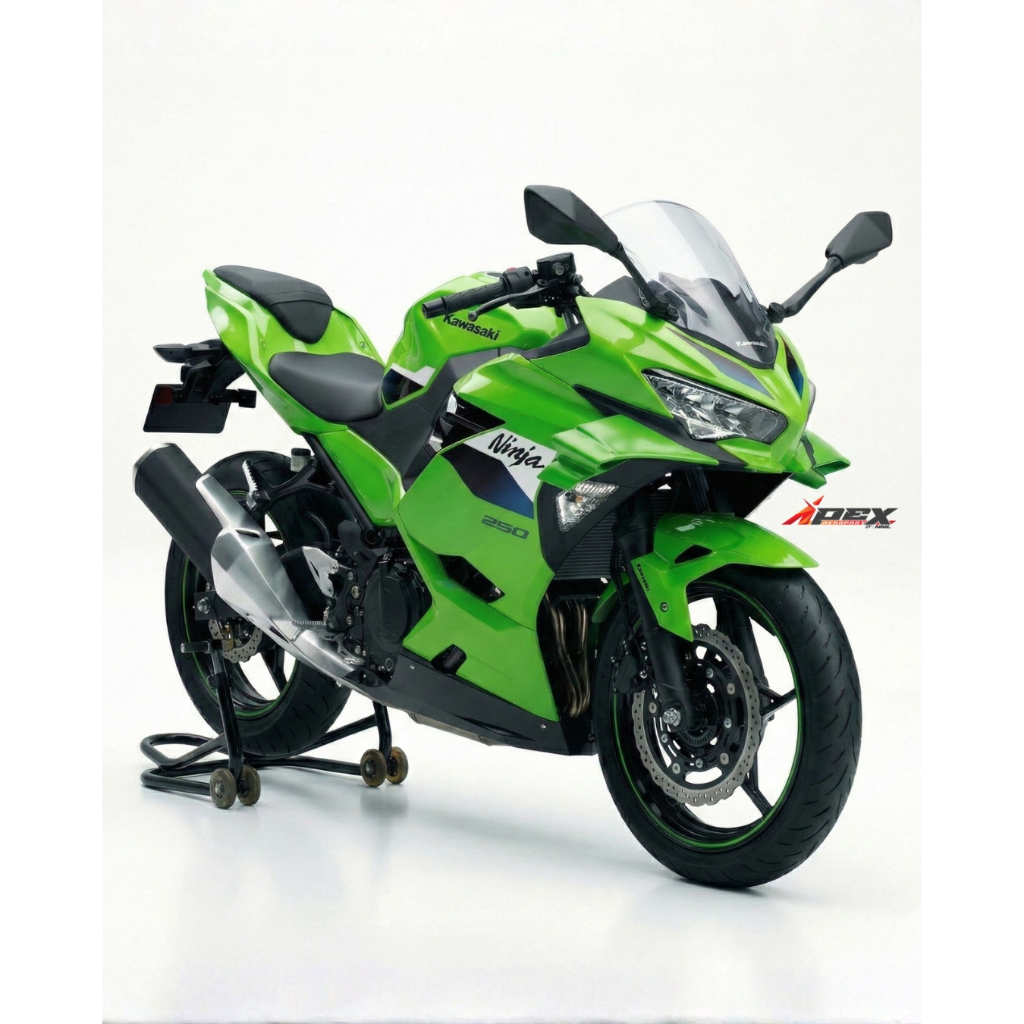 Aero Winglet Kawasaki Ninja 250 FI New