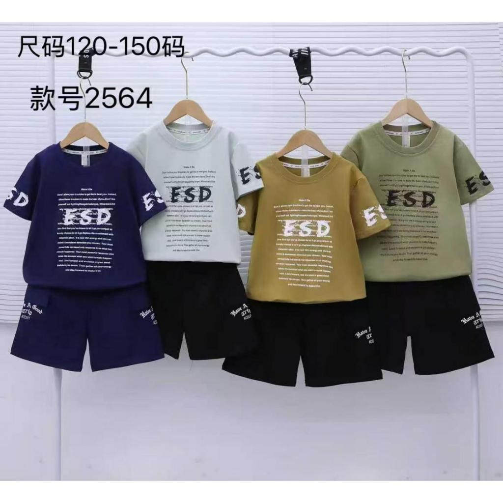 Setelan Pendek Anak Laki 2-6th (Seri 4)/Grosir Baju Anak Import