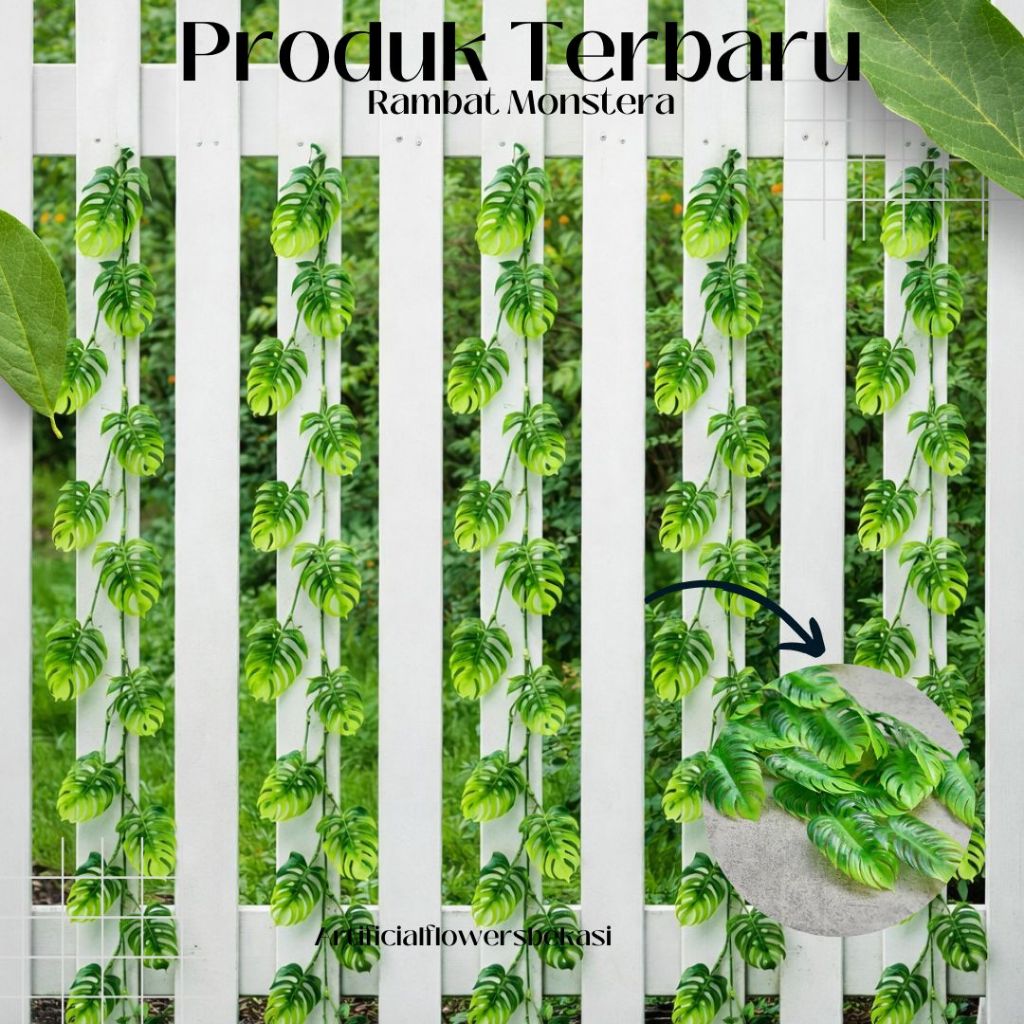 rambat daun monstera 1 & 2 meter  rambat daun hias daun monstera rambat dekorasi cafe aesthetic