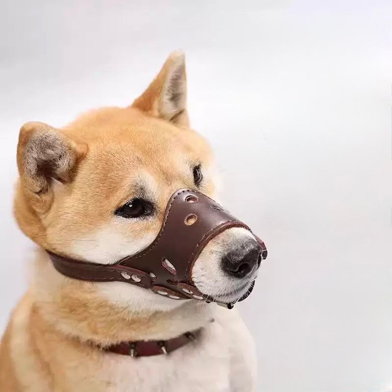 Penutup Mulut Anjing Anti Gigit & Menggonggong dog muzzle Kulit Premium