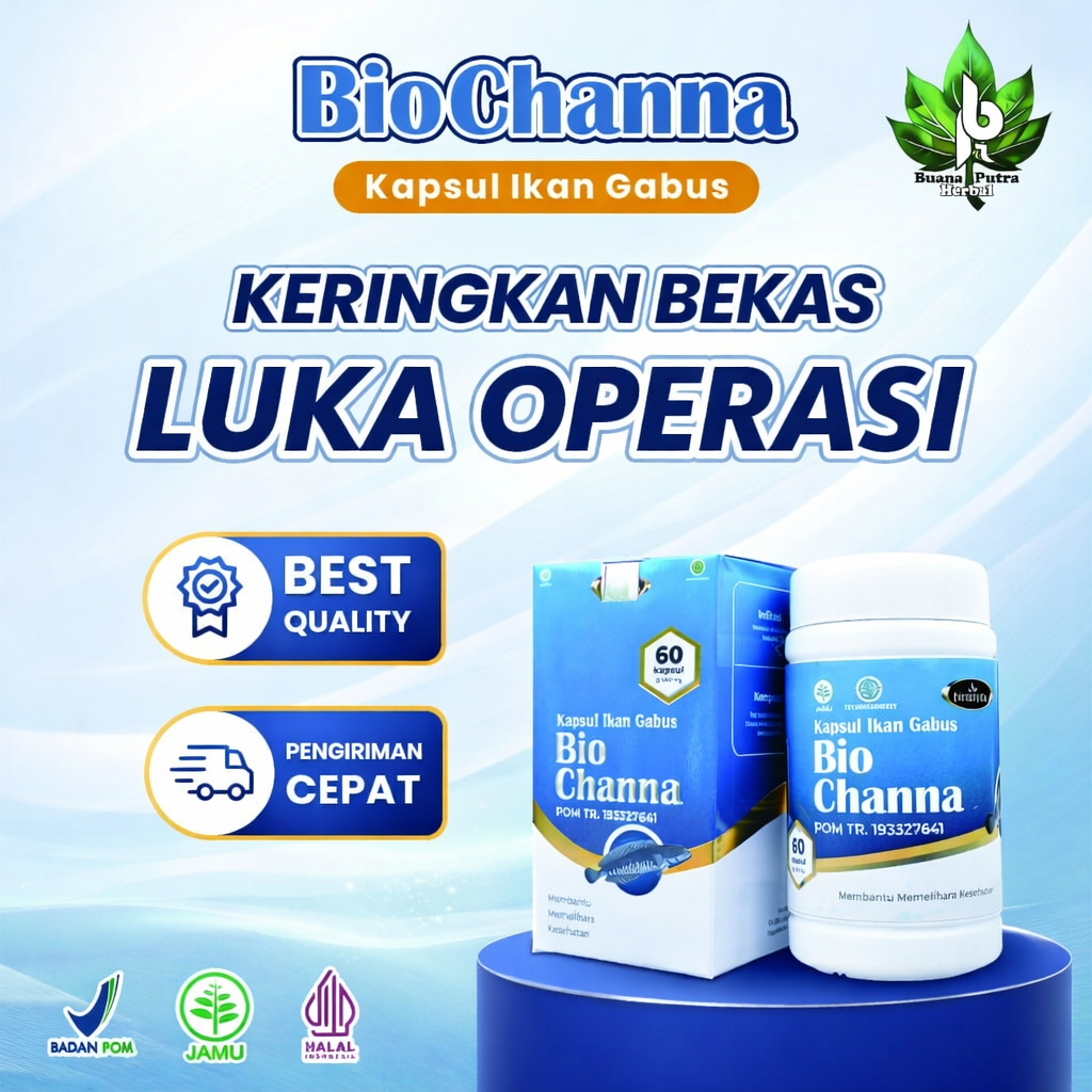 Kapsul Ikan Gabus BioChanna – Ekstrak Ikan Gabus Premium Sumber Albumin