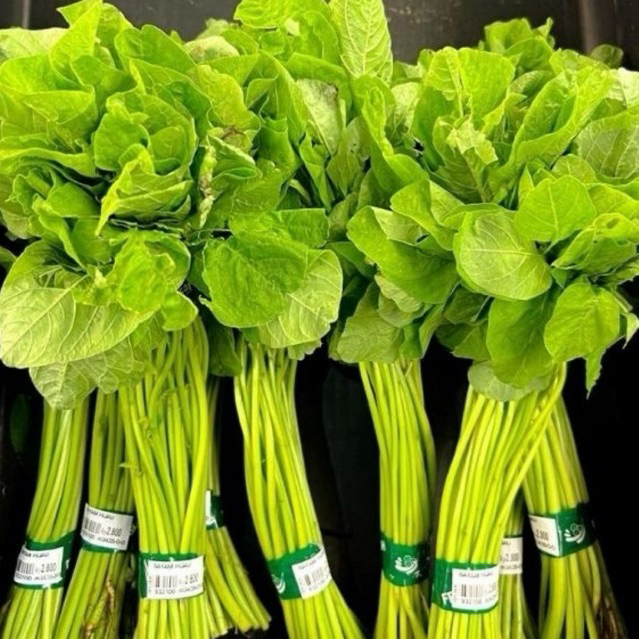 [INSTAN] SAYUR BAYAM BABY 1 IKAT