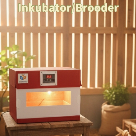 penghangat anakan burung inkubator penghangat anakan burung