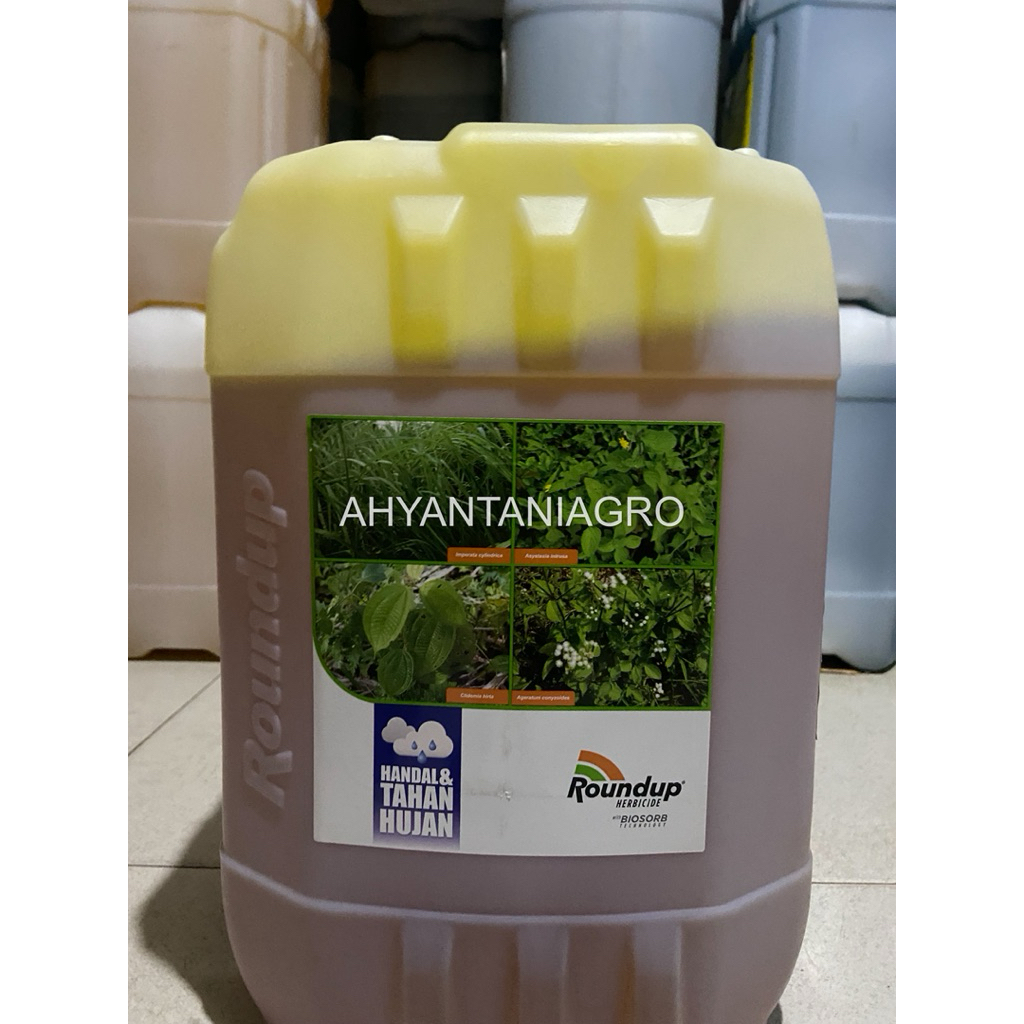 racun rumput/herbisida ROUNDUP 486 SL, kemasan 20 liter