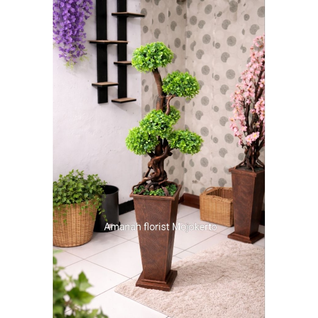 Bunga Bonsai sudut Ruangan.