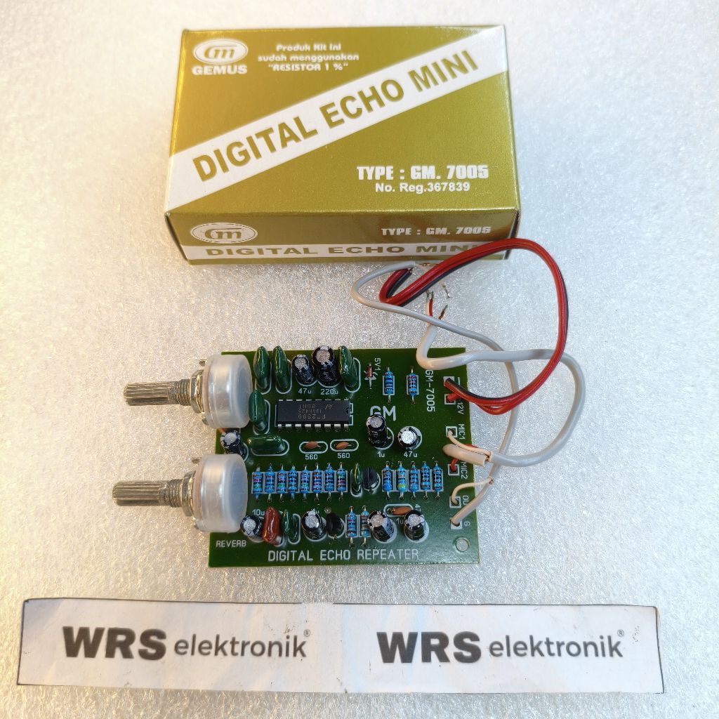 Kit Digital Echo Mini GM. 7005 DC 12V 2 Mic