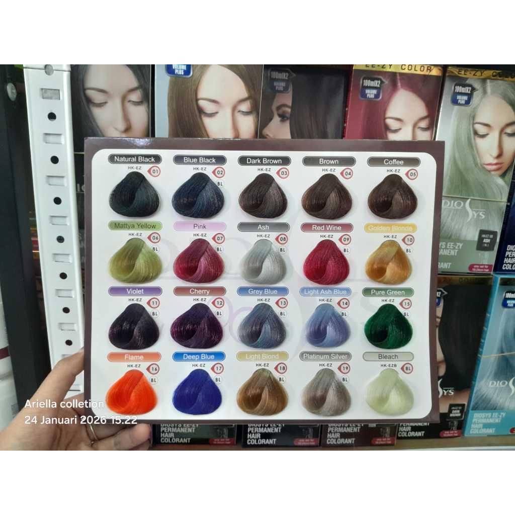 DIOSYS Buku Warna Cat Rambut 20 Warna Stand Untuk Katalog Warna Rambut