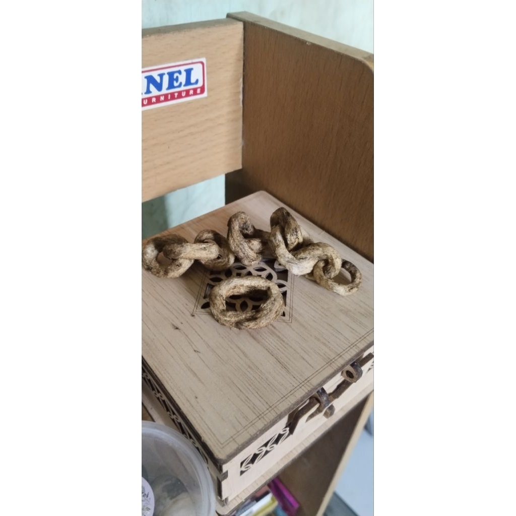 mustika rantai elang asli alam