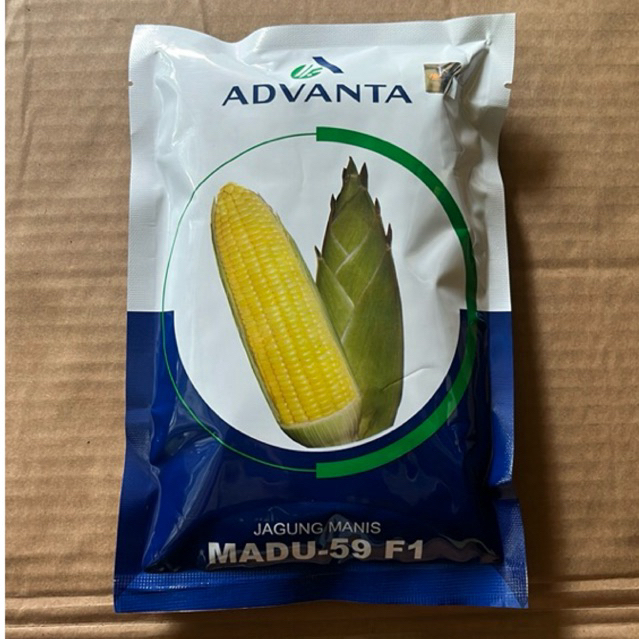 BENIH JAGUNG MANIS MADU 59 F1 250 GR ADVANTA