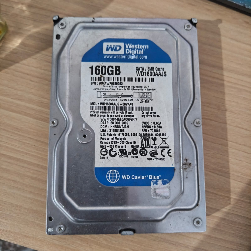 HDD 3.5 Hard Disk Harddisk WD BLUE Internal Desktop PC 160GB SATA III Speed 7200 RPM Sentinel 100