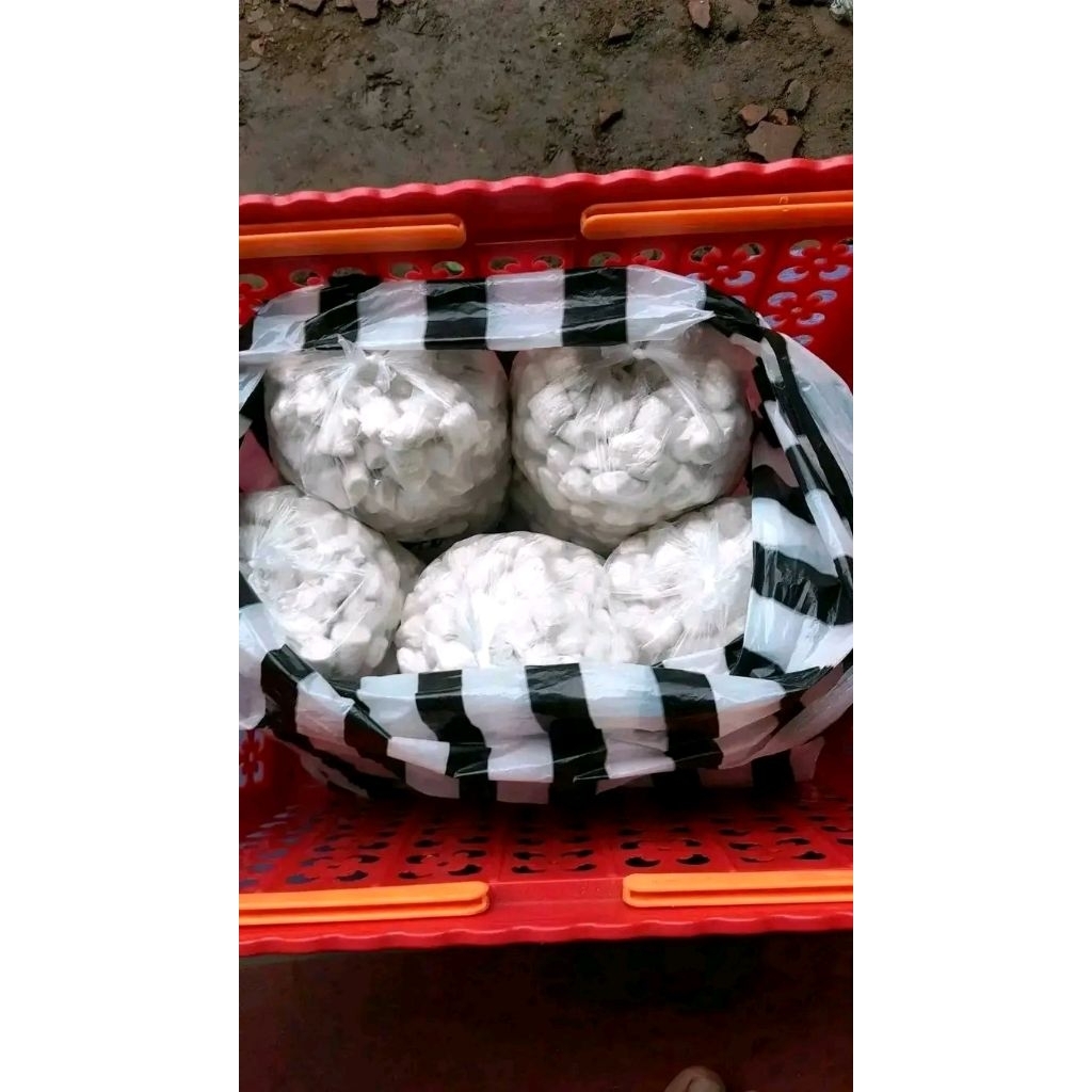 CIMOL MENTAH ENAK GURIH HARGA GROSIR ( Gosend spx grab instan )