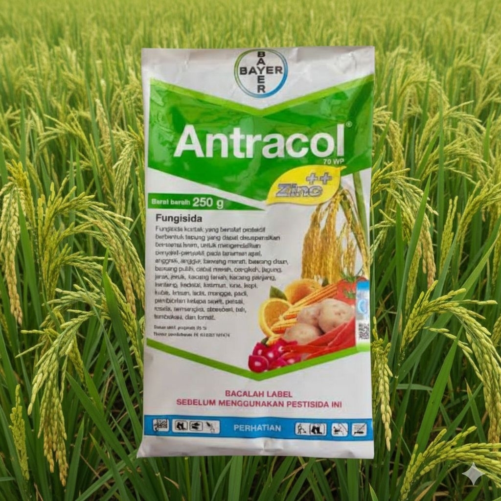 FUNGISIDA ANTRACOL 250 GR, BAHAN AKTIF PROPINEP