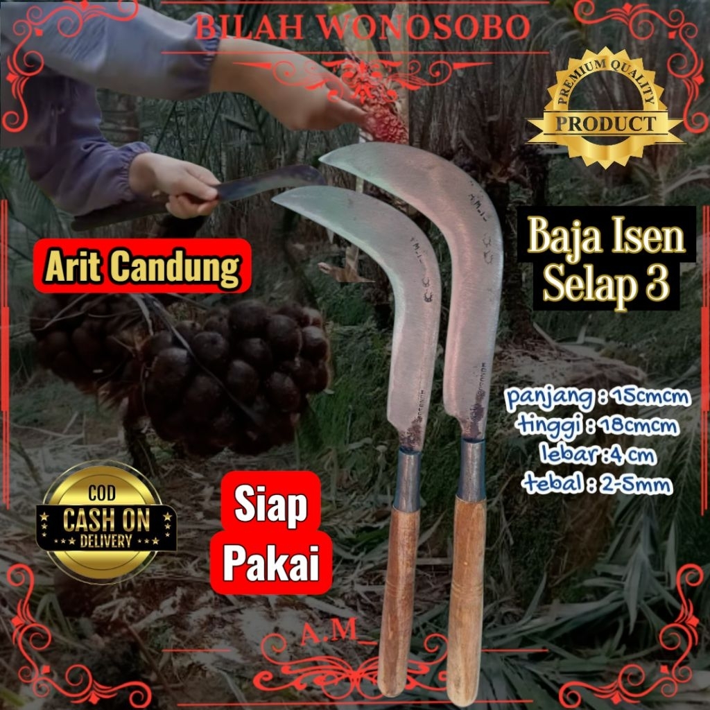 Lukisan Candung Alat Panen Salak Baja Selap 3 Super AM19 Wonosobo