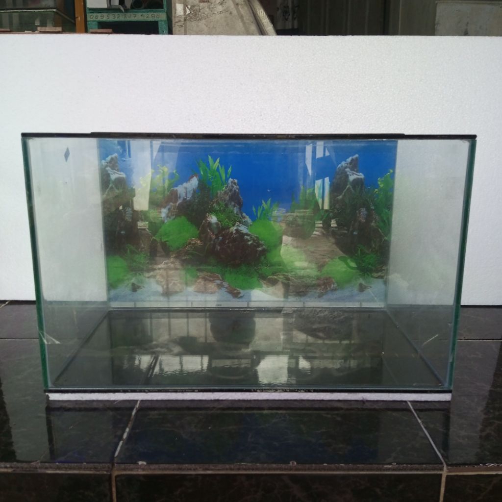 aquarium 50x30x30