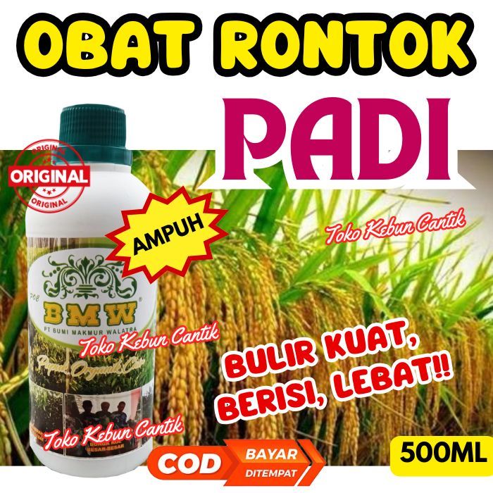 Obat rontok padi rekomendasi petani POC BMW bulir padat lebat berisi penuh sehat kuat alami