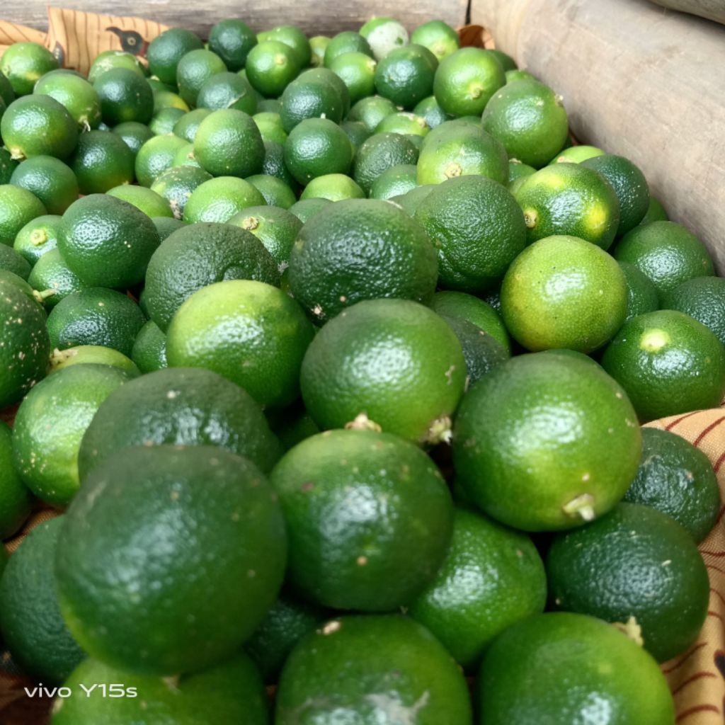1kg jeuk sonkit/jeruk kasturi/jeruk peras/jeruk lemon cui/ukuran besar-besar