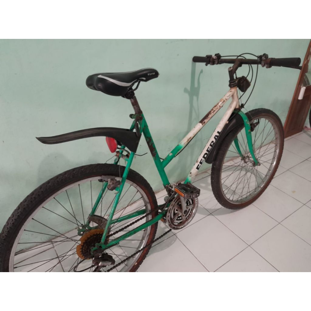 Sepeda Federal Stray Cat