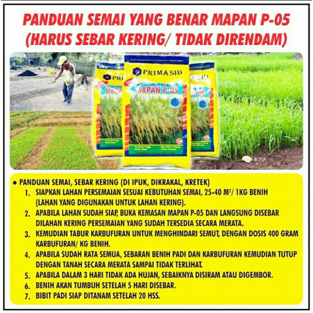 5kg Benih padi mapan p 05 Original