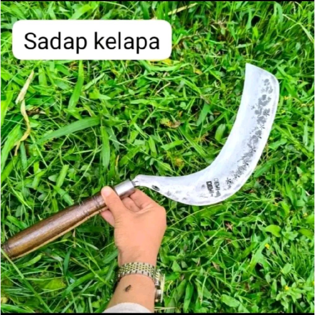 Arit Sabit Sadap Nira Aren | Baja Per Tebal 4 mm | Gagang Kayu Sonokeling