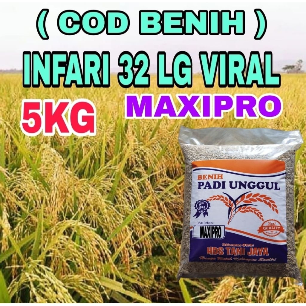 5KG BENIH PADI INPARI-32 MAXIPRO ORIGINAL LABEL PUTIH