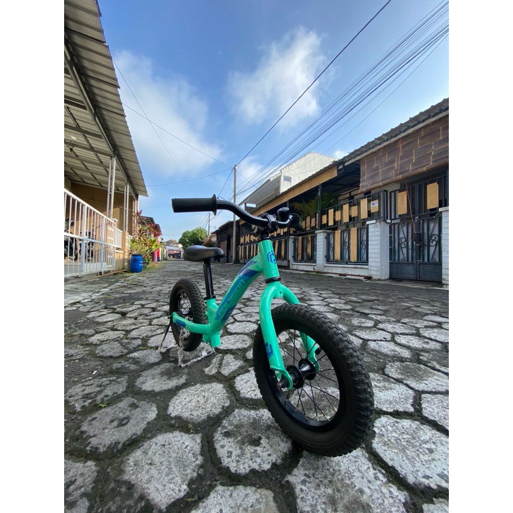 polygon flint push bike sepeda anak bekas pushbike