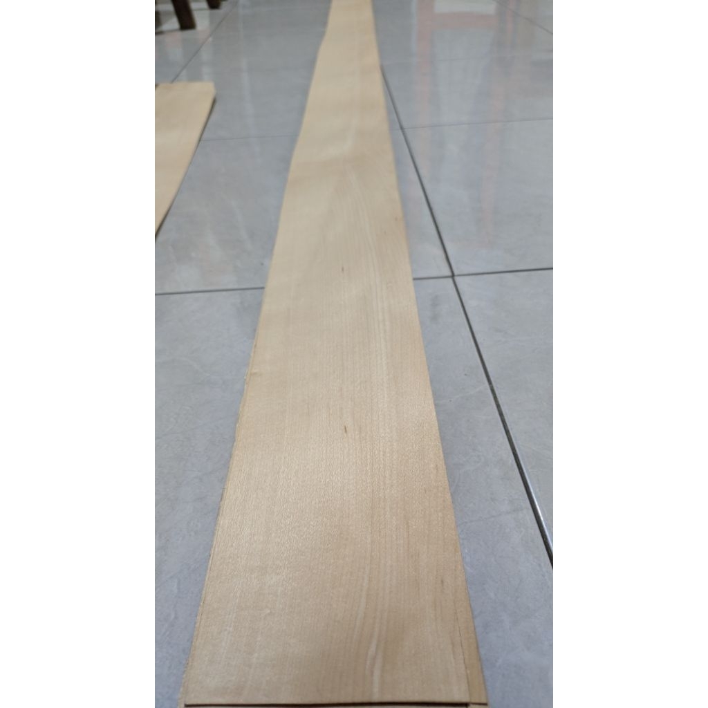 veneer Maple lurus