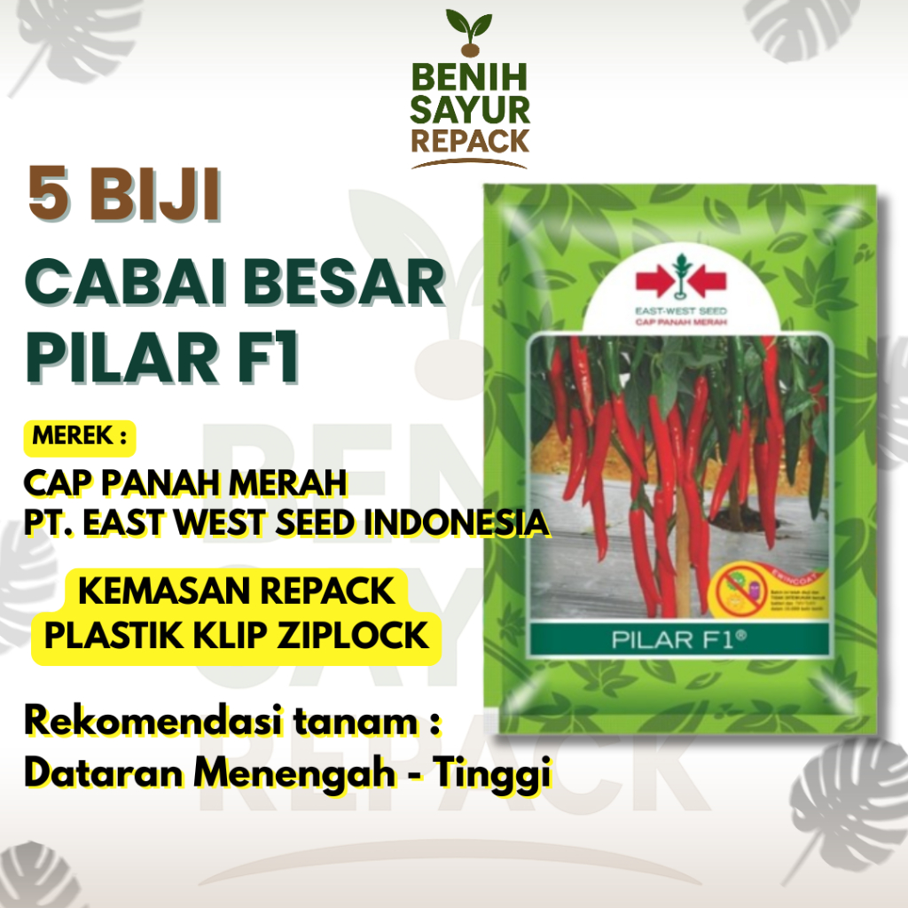 5 Biji Benih Cabai Besar Pilar F1 Cabai Besar Merah - CAP PANAH MERAH CABAI BESAR PILAR F1 [ BENIH S