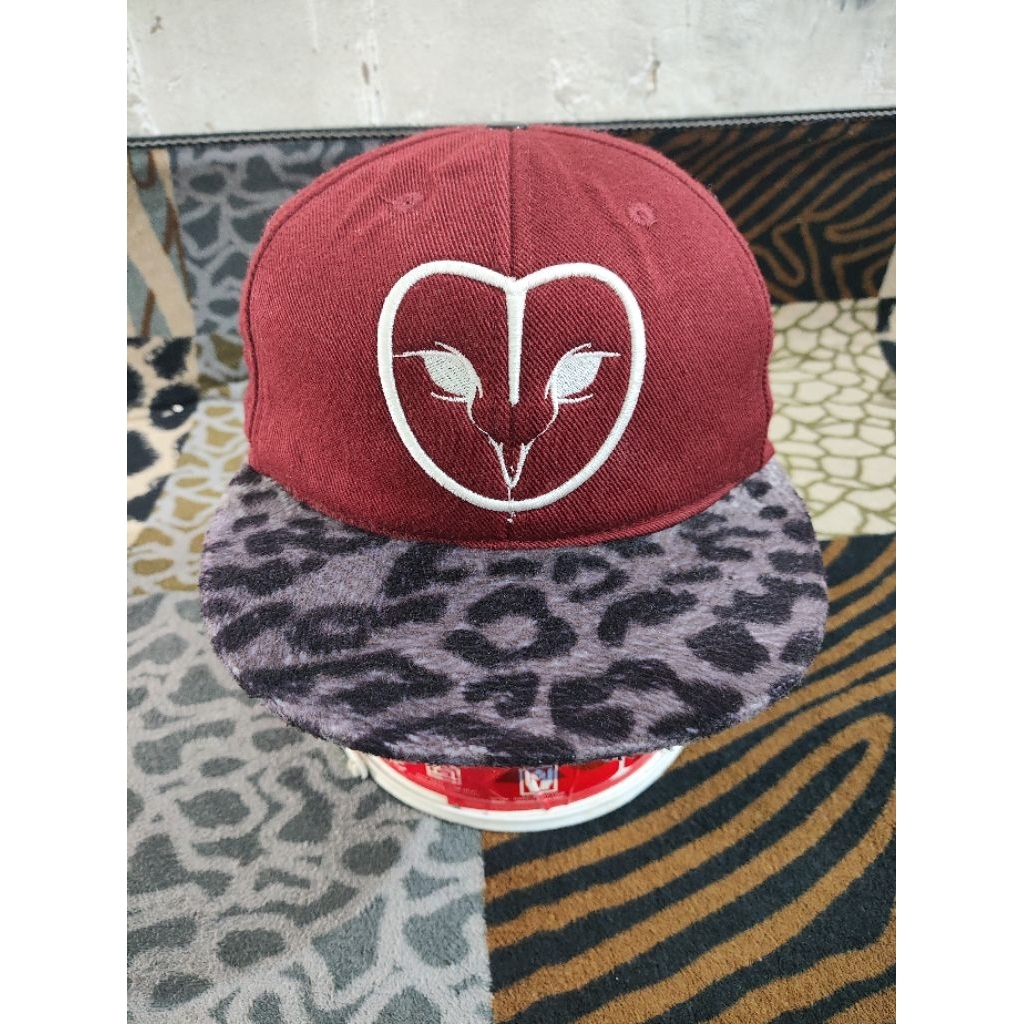 Topi Dreambirds