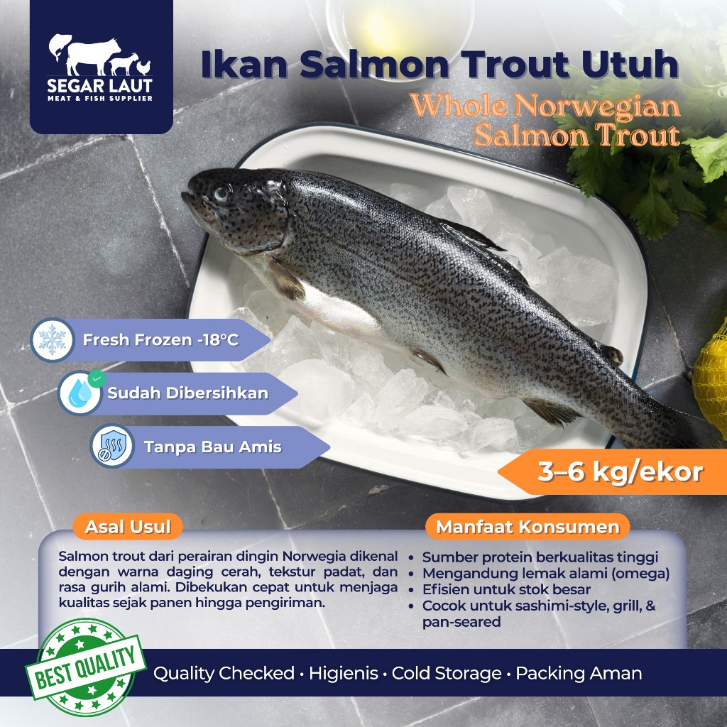 Ikan Salmon Utuh Norwegian Frozen | Frozen Fresh | Salmon Trout Norwegia