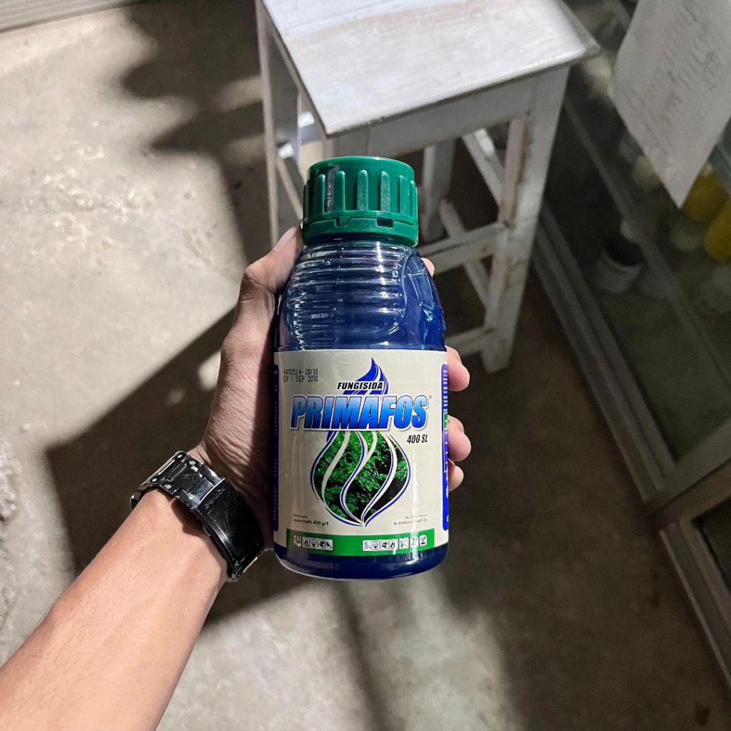 Fungisida Primafos dengan bahan aktif asam fosfit
