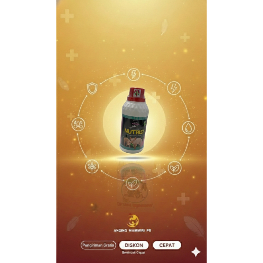 SGT Nutrisi Babi | Suplemen Nutrisi Organik Penggemuk Babi | Vitamin & Mineral Ternak Babi || SGT Nu