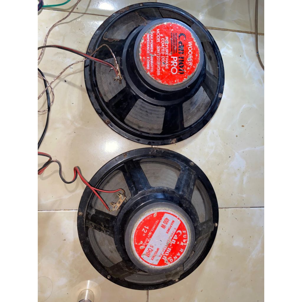 Speaker 12 inch cannon pro