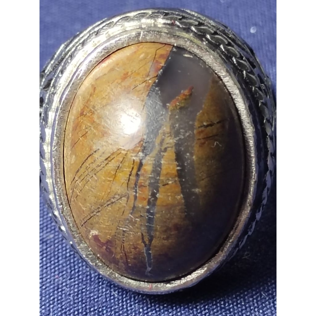 Natural Asem Petrified Wood, MYSTIC, CRYSTAL / Batu Fosil Kayu Asem, SAKRAL, KRISTAL, JUNJUNG DERAJA