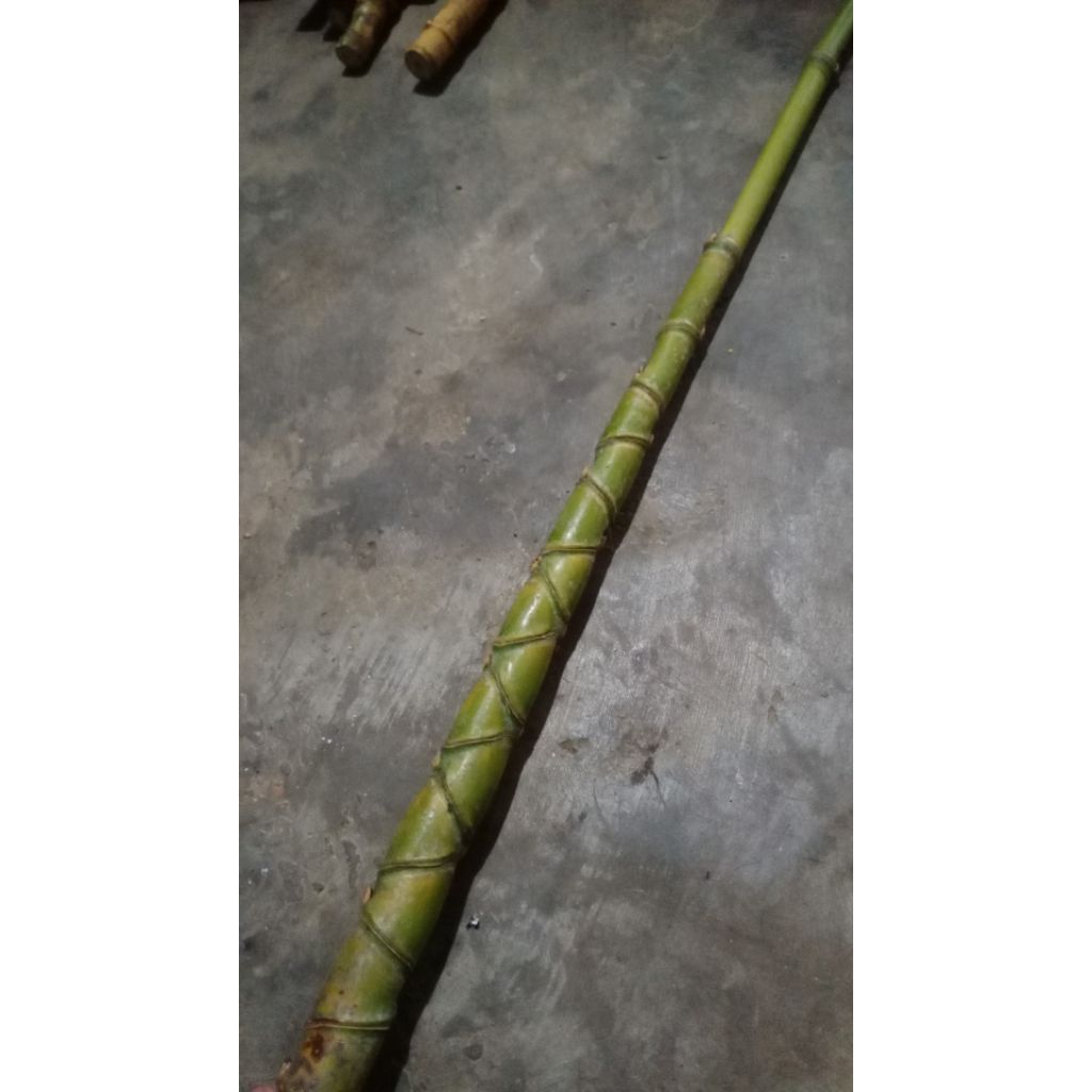 bambu cendani