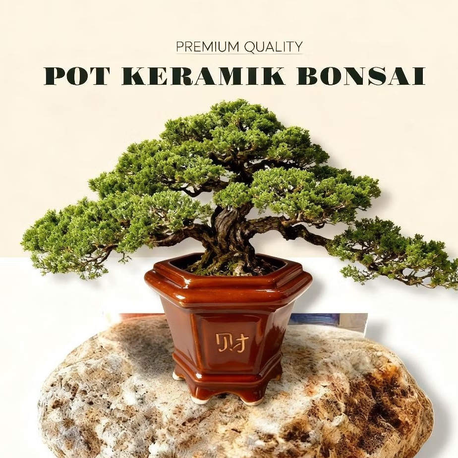 Pot Keramik Bonsai Segi 6 Premium Pot Tanaman Hias Pot Pohon Hias Bonsai