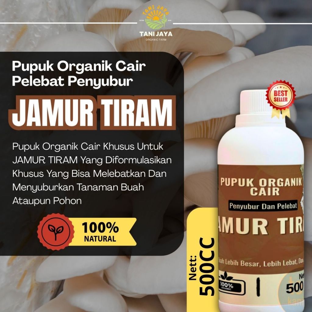 Pupuk Jamur Tiram Perangsang Panen – Membantu Jamur Cepat Tumbuh dan Tidak Mudah Kering
