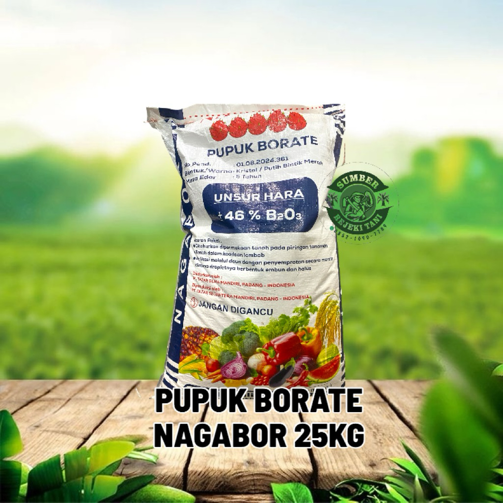 Pupuk Nagabor Borate 25kg original turki