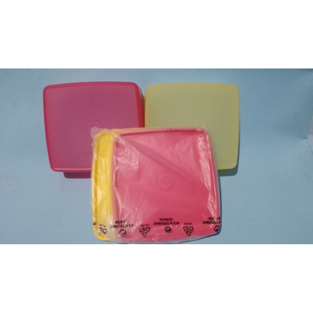 [New] Tupperware Large Square Away | Kotak bekal makan